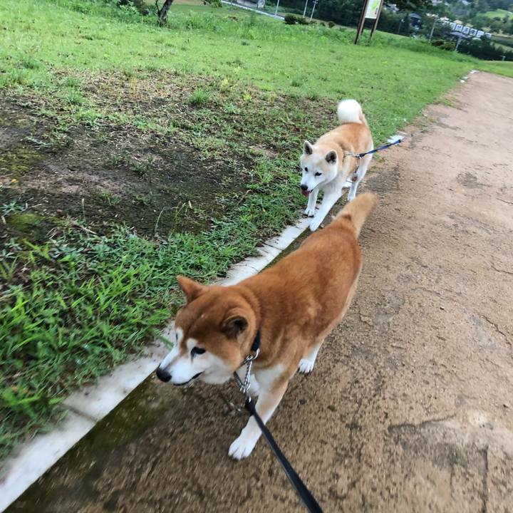 5df6d1a6 bec2 433e 9bbb fccdd8605637 1569388093191