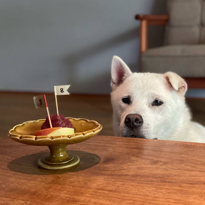 5df6d849 412c 4141 9dfc 5b309bf17052 1757377145345