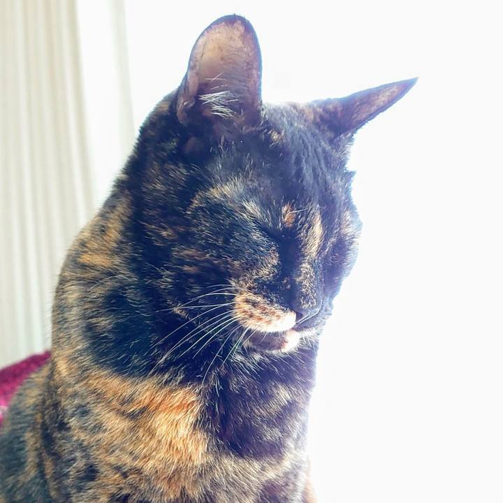 5df6e1b5 d3ea 4e98 8d2c 3ec657ff9465 1758972721619