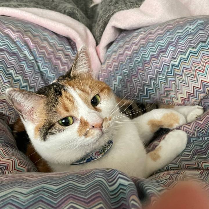 5df6f08f 3733 46e5 b4b3 1106bdf3d9cd 1709595534462