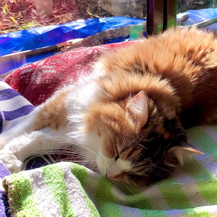 5df6f557 c752 45b8 a3d6 3d27ebae5c83 1614061334348