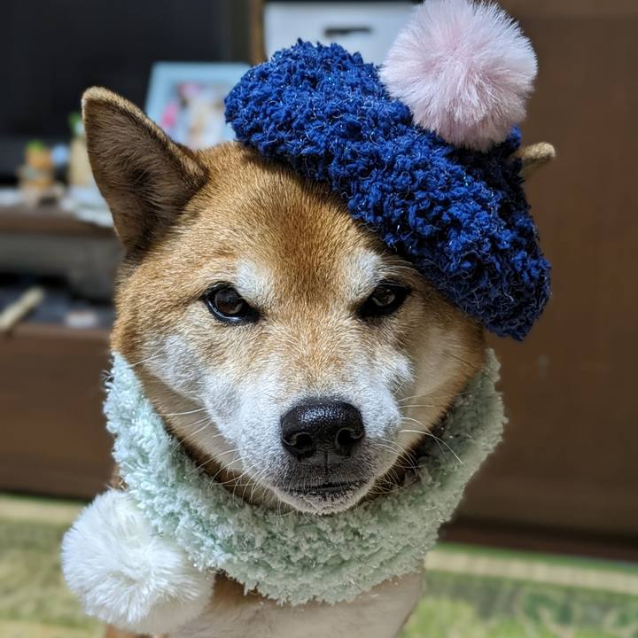 5df705f9 edbd 4a60 8a38 84cc7de488f0 1700907454719