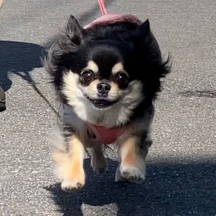 5df76893 281f 4e0d b3ed 32ee3aba509f 1644564736471