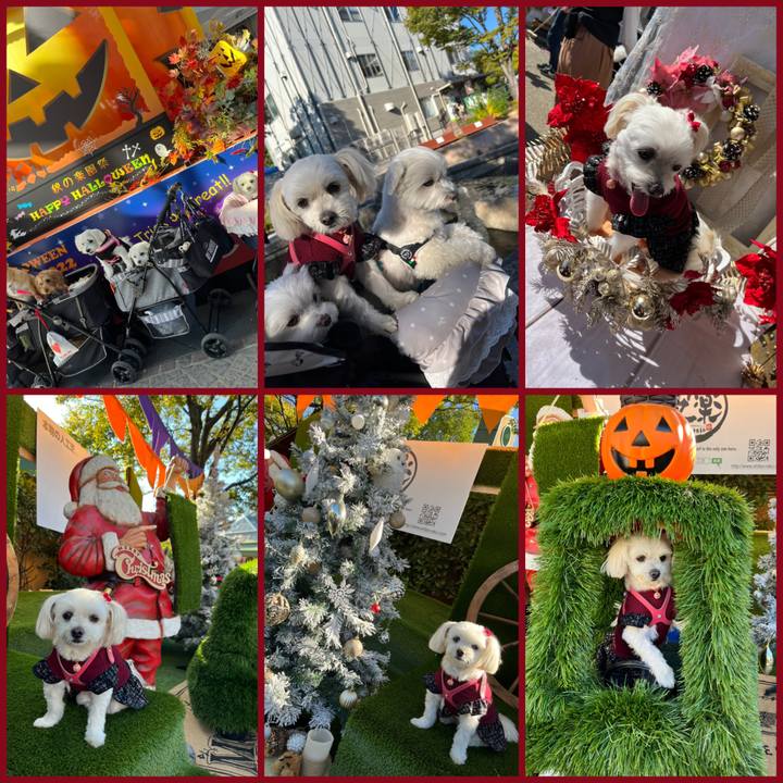 5df76b00 977b 4dfa 8a57 d465bebc581d 1667479760727