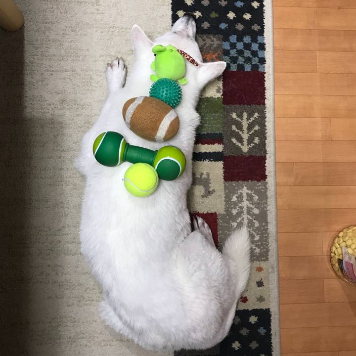 5df7902a a35c 49f2 88af a176befb2d08 1531742613328