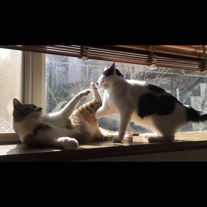 5df7be59 59ec 42ac 84f3 59bd367884e1 1521851638919