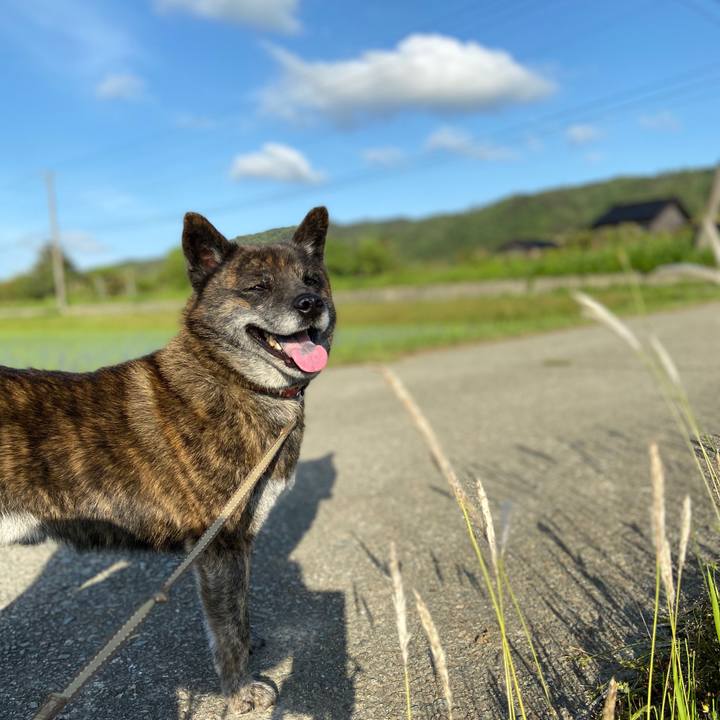 5df7c1c5 13d5 4189 a1b3 56e77397597a 1590135916419