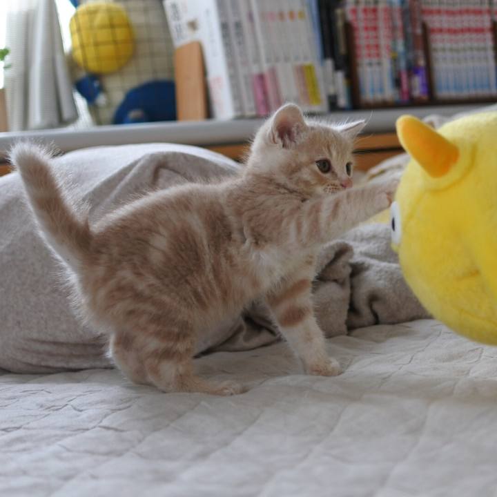 5df7c72a 8efa 41e2 a359 81e0e51604f3 1541394893230