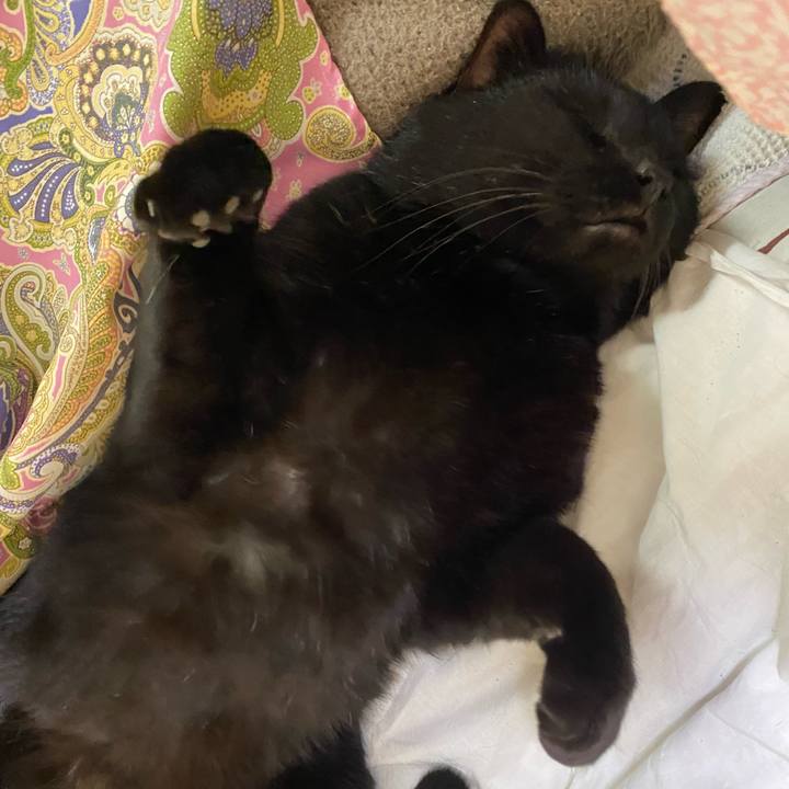 5df7cf5d e266 4a31 930a 8ff6ae29612d 1645764683593