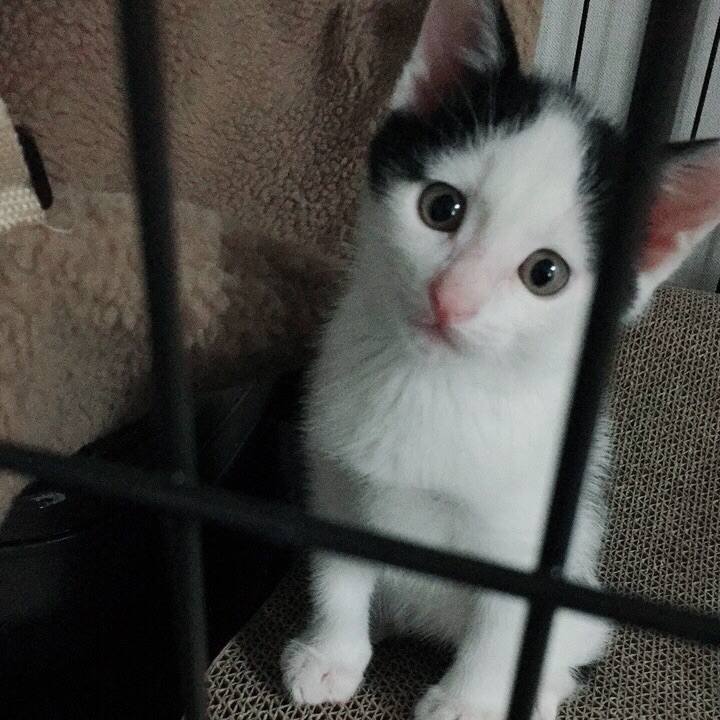 5df7e1cf 5c3e 4eaf a720 97b5261e31c9 1531392146887