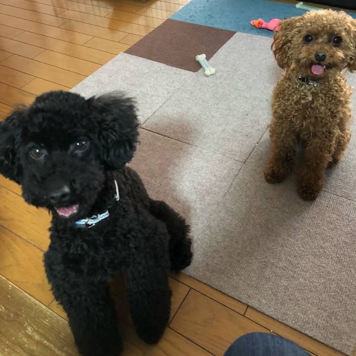 5df80b68 08b8 4a9d b5ce 6e76a59d6fae 1525211683144