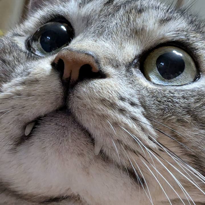 5df81066 a339 4655 9cdd 4e4dd6872734 1731244160303