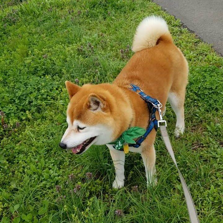 5df83b7a 6279 4c64 8231 d7cad3f1fa2d 1556257436100