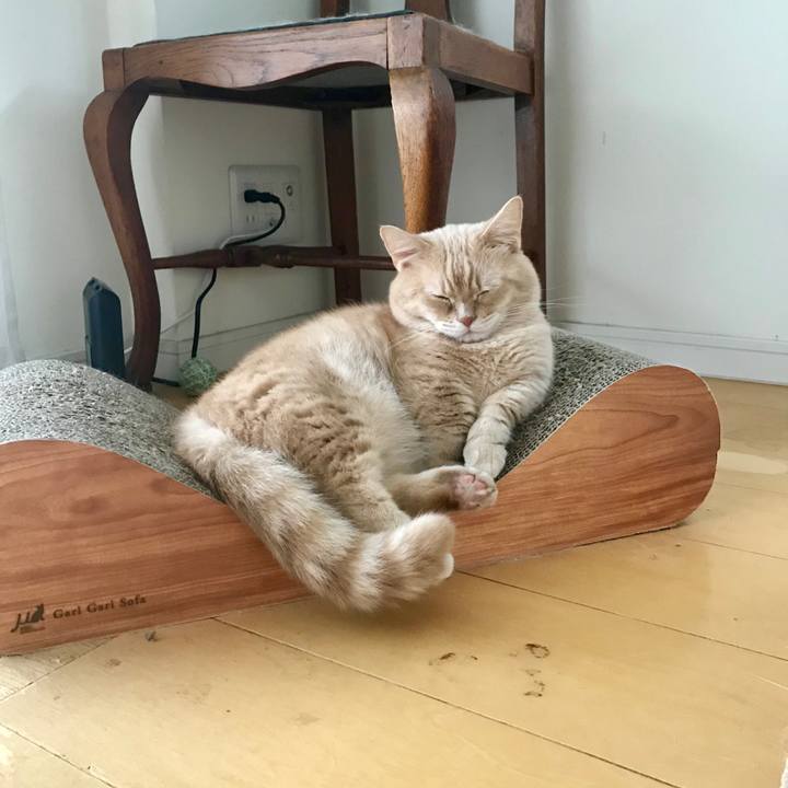 5df8425f f601 4f9c ae85 614b32d8f779 1561887047155