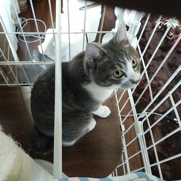 5df84a6c 3e2a 4c95 a0ba b7bd46ec7cdd 1573254865733