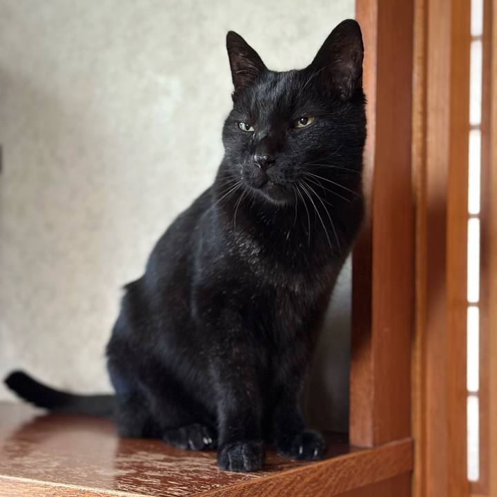 5df88e4a 587f 48f8 bc34 4d06f3359381 1667958773841