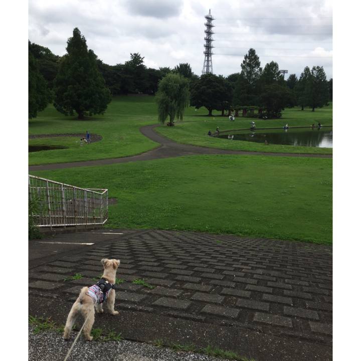 5df89fa7 65af 4180 b879 f1c11380d0eb 1562405117324