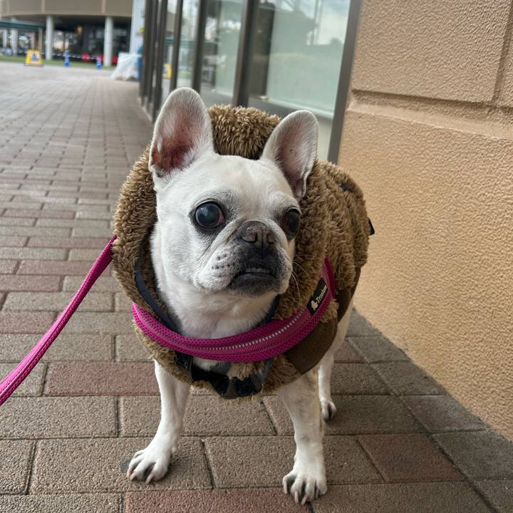 5df8a5ae 8d8d 405d 85c5 bcb1284283b1 1740135875913