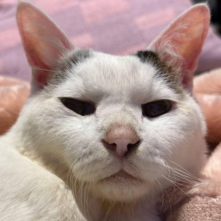 5df8a86a 5584 46e7 89ed 5670b457beda 1768208385392