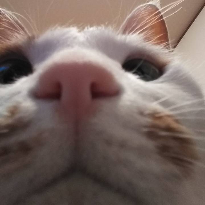 5df8b4d0 b898 4e94 8062 1e7badf1c188 1561369324653