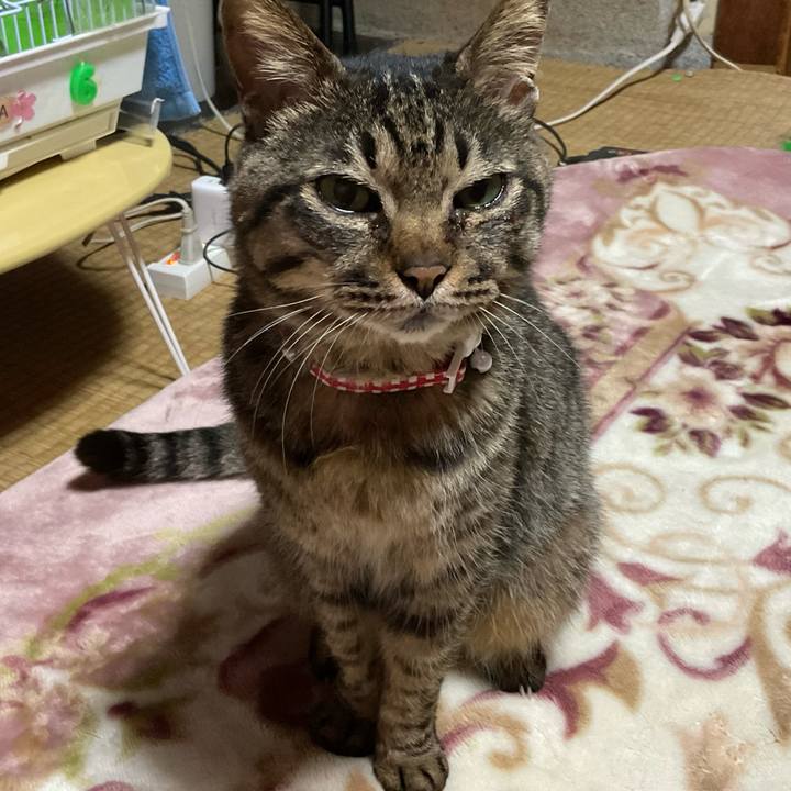 5df8c374 1ee7 41c3 8aa1 ac5b9349796e 1685284016062