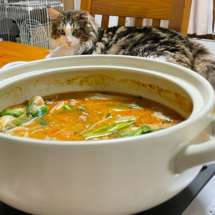 5df8efdf 9a71 4374 a74e 980ba5988418 1645697418572