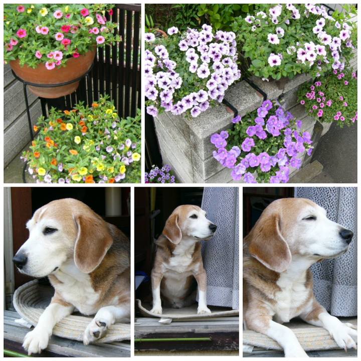 5df9219a 3f00 454c 99b6 b8ebdb684e00 1651545031424