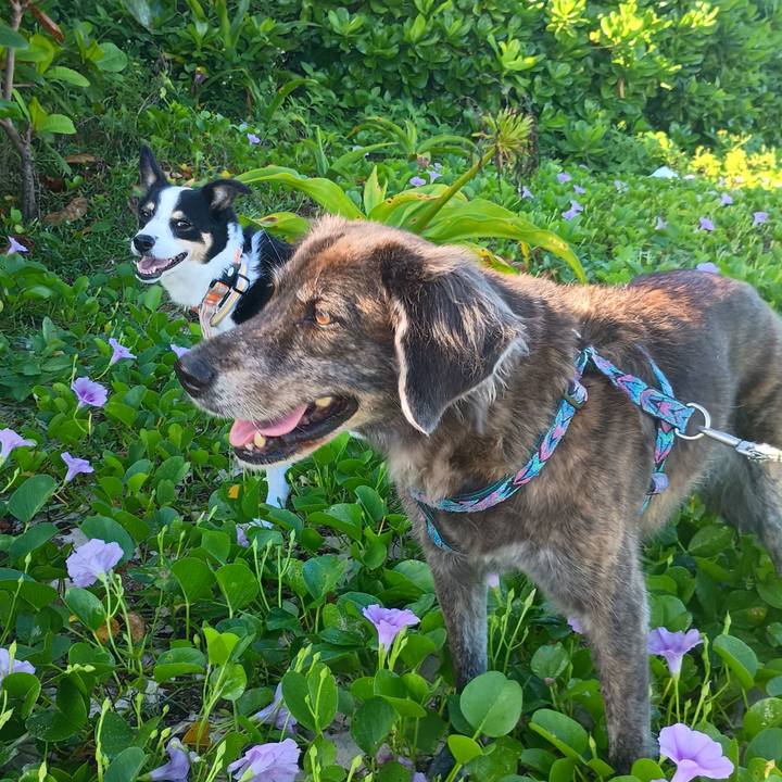 5df9240a 09b3 4d68 b853 cb568665eeaa 1759763265001