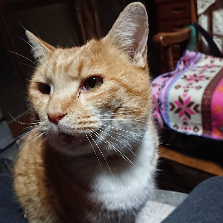 5df92650 179d 4f2e 991c d362a1e0aa58 1578774758522