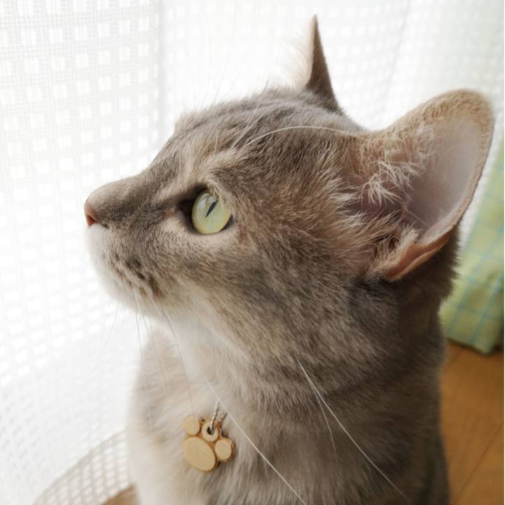 5df9438b 1524 4ff8 905e 322f69707d3b 1591760503854