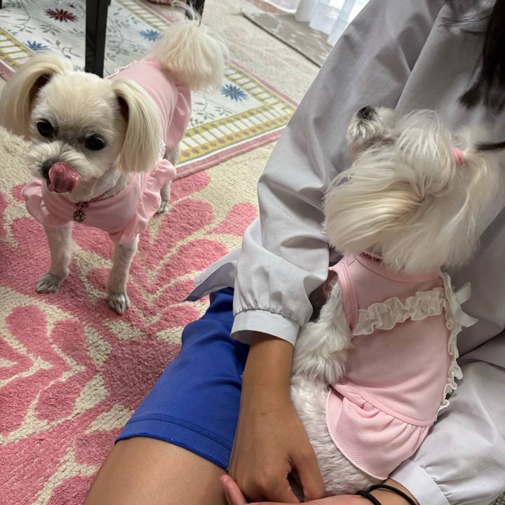 5df95c67 ab37 4792 9ba8 36ccbb760ac1 1748423631557