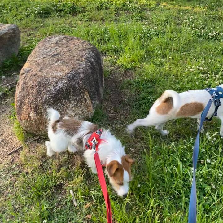 5df9c8a2 2fbb 411f b80d 637c1093eefa 1652559166442