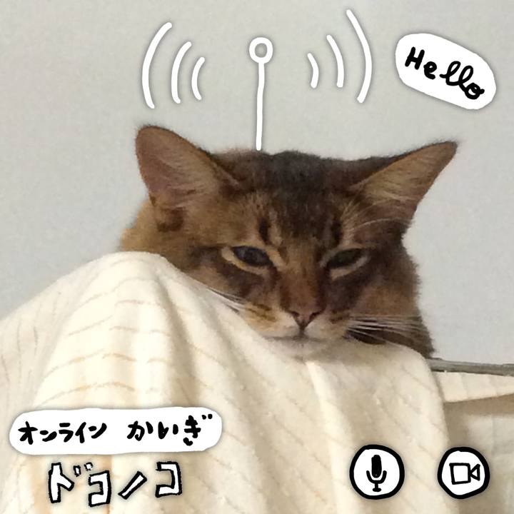 5df9d23c 544d 43ab ad07 dc36642a32cf 1590705040118