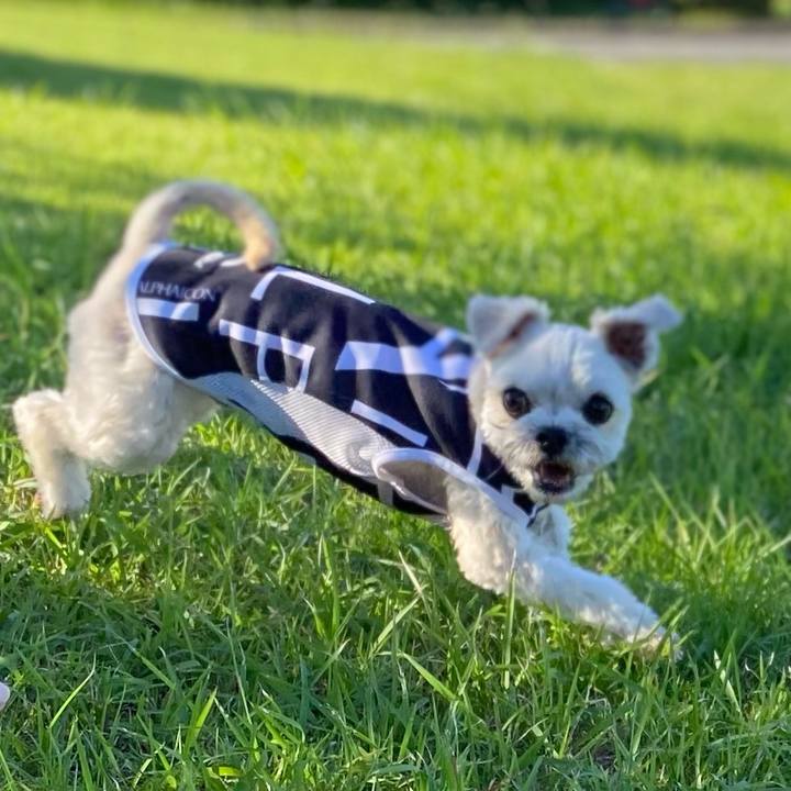 5df9f105 eb86 4a0e 8153 ae58cae319fd 1632923109763