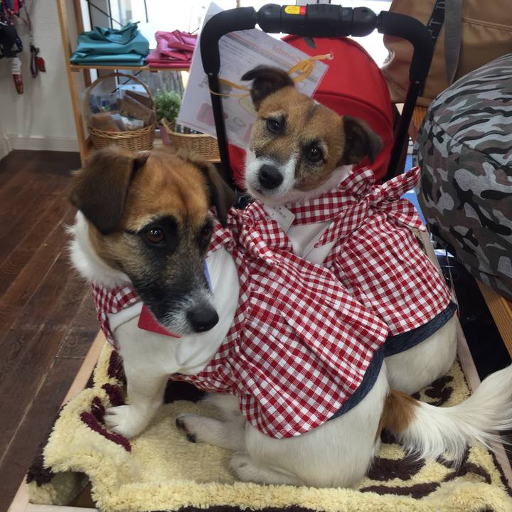 5dfa1aa3 c487 42cb b376 fbf899dbfa46 1524900871664