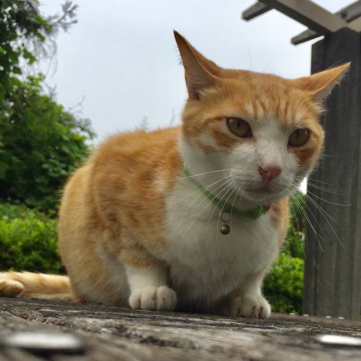 5dfa1b51 afbb 4da5 8d6f b7125adf1d90 1529829144857