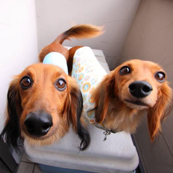 5dfa2ce2 275d 4982 a3dc 78a2bf967419 1773059605499