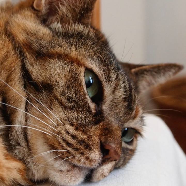 5dfa4570 8dcf 49f3 b70d dcff678913c6 1761263871019