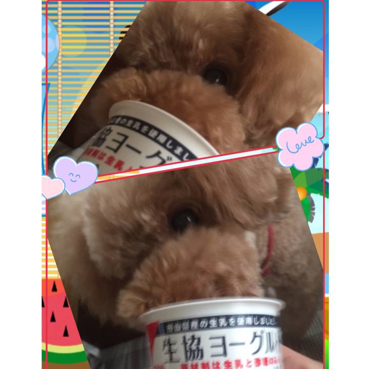 5dfa634a 10d2 4969 9ed6 155b09ad586a 1535924872755