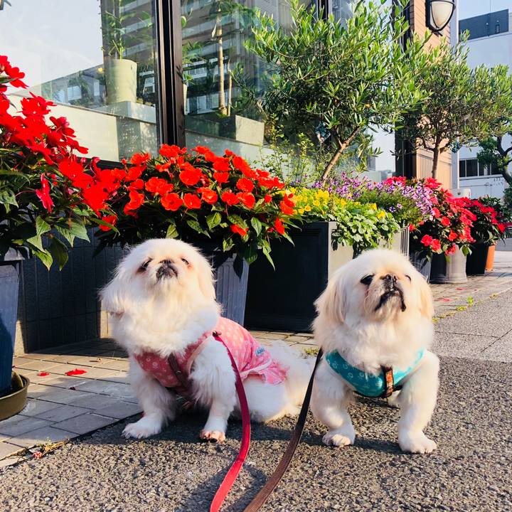 5dfa8873 37f1 44e5 9ffc 0405a71030be 1559786974843