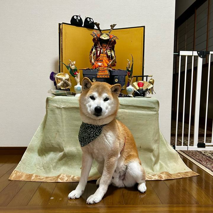 5dfaa9ae 52be 4750 b553 a7fa44792ef5 1712229441327