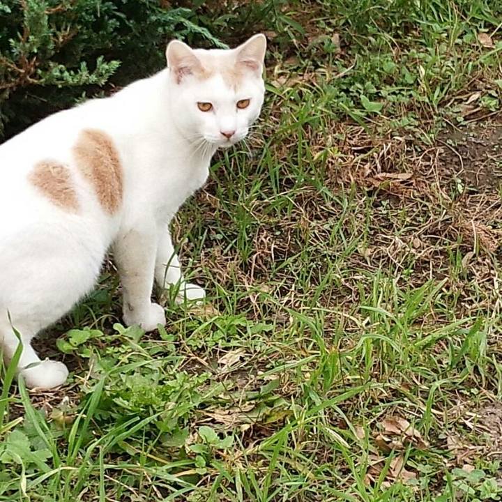 5dfaaa0e 2d88 433e 8b87 980e78b837e3 1510632664308