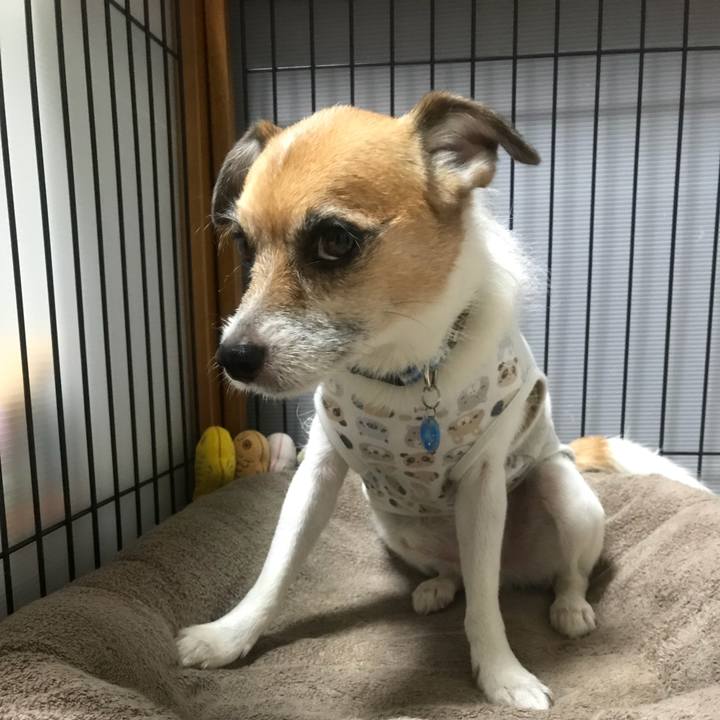 5dfabda3 55f2 4f77 9399 336a7c903b96 1536101100789