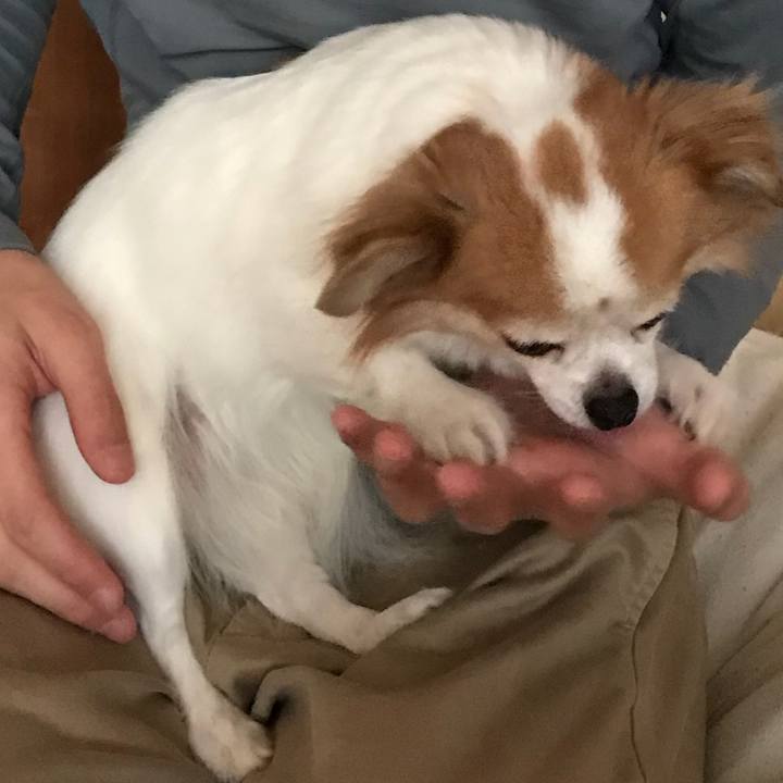 5dfac04a e00b 4ee9 bd43 b16c0a3d77b0 1520746574289