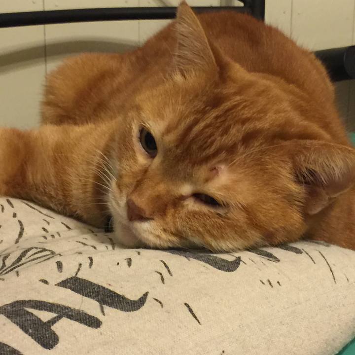 5dfb3597 f581 4a4f 91a2 970e9acfcdec 1547738607223