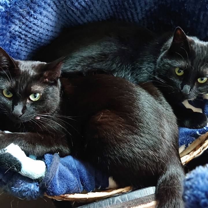 5dfb3bda 1b2b 49c5 9380 a1d55a5abbd2 1553917055599