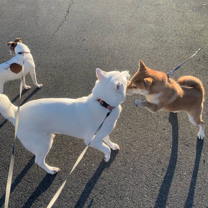 5dfb4bbb d99a 4cc0 a577 dc4abad51d47 1542929838630