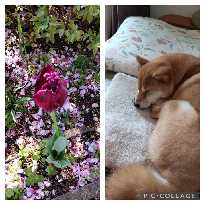 5dfb7014 ab27 4568 8811 b2d949d2d5be 1681003826739