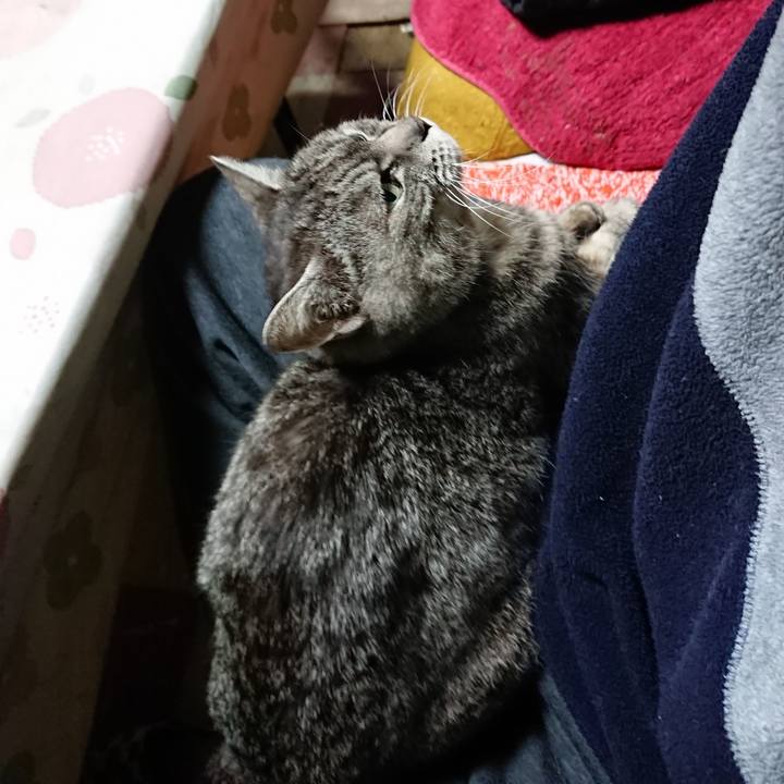 5dfbab9a 2422 41f5 be7d 7559d6936fd1 1552906806971