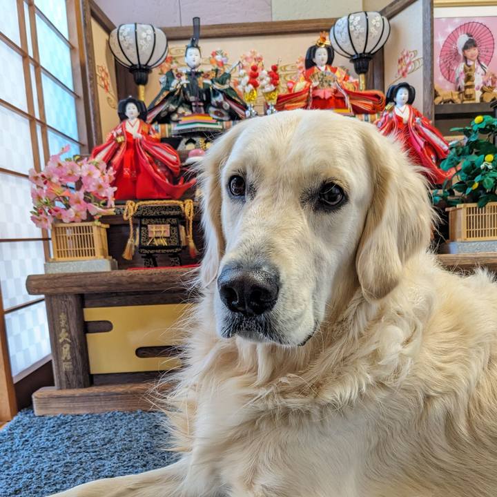 5dfbb027 0514 4bca 9d13 87750745a6ce 1772493990536